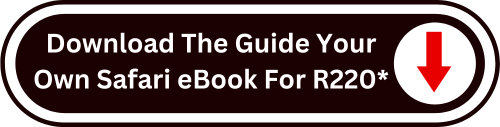 Download Guide Your Own Safari